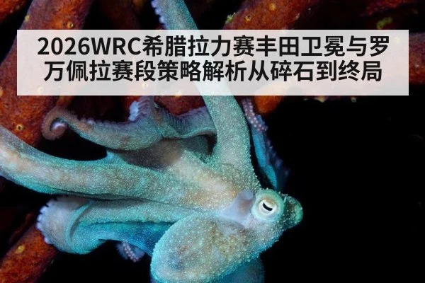 2026WRC希腊拉力赛丰田卫冕与罗万佩拉赛段策略解析从碎石到终局
